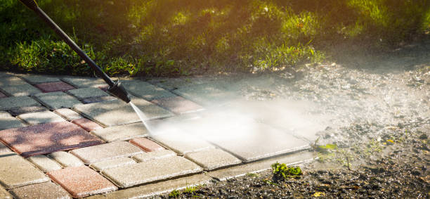Best Roof Washing  in Coventry Lake, CT